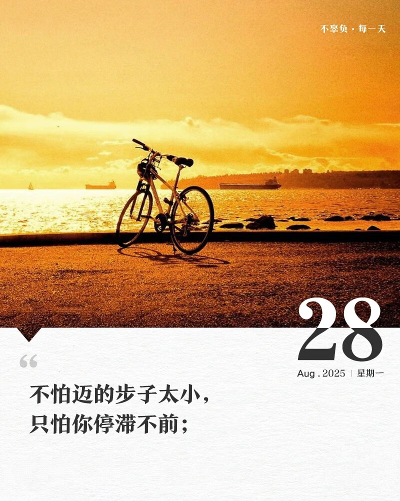 5c934c6ed7789b52.jpg